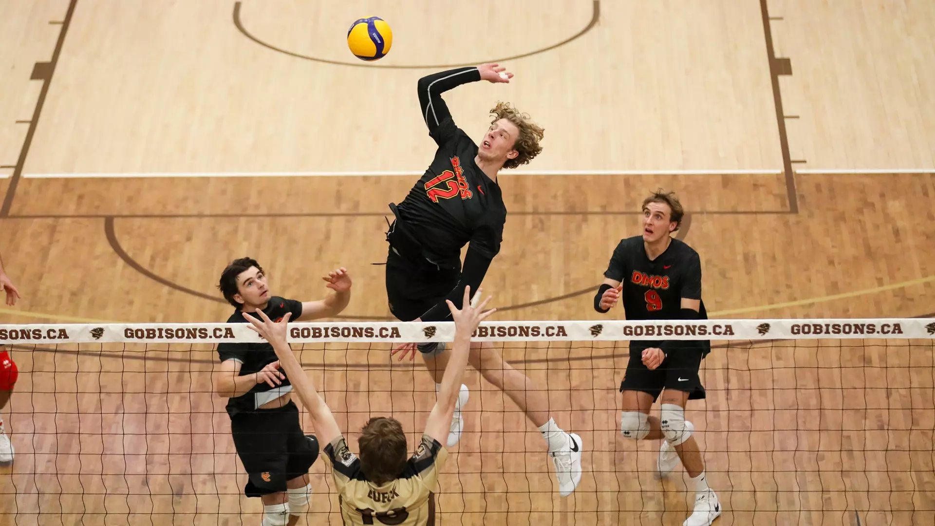 Meier signs on with Chaumont Volley-Ball 52