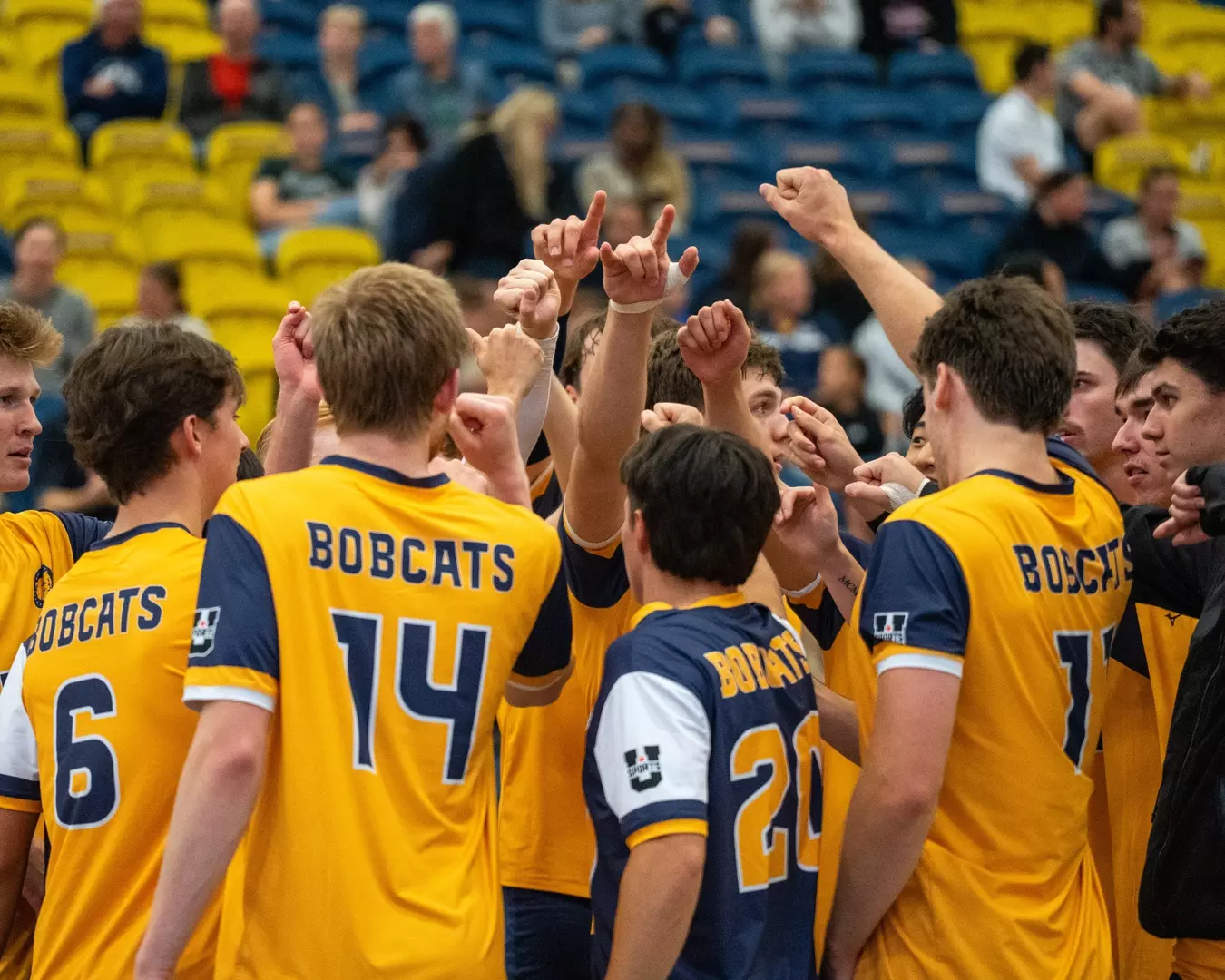 Bobcats Volley Past National Competitors, Set Up Tournament
Final Showdown