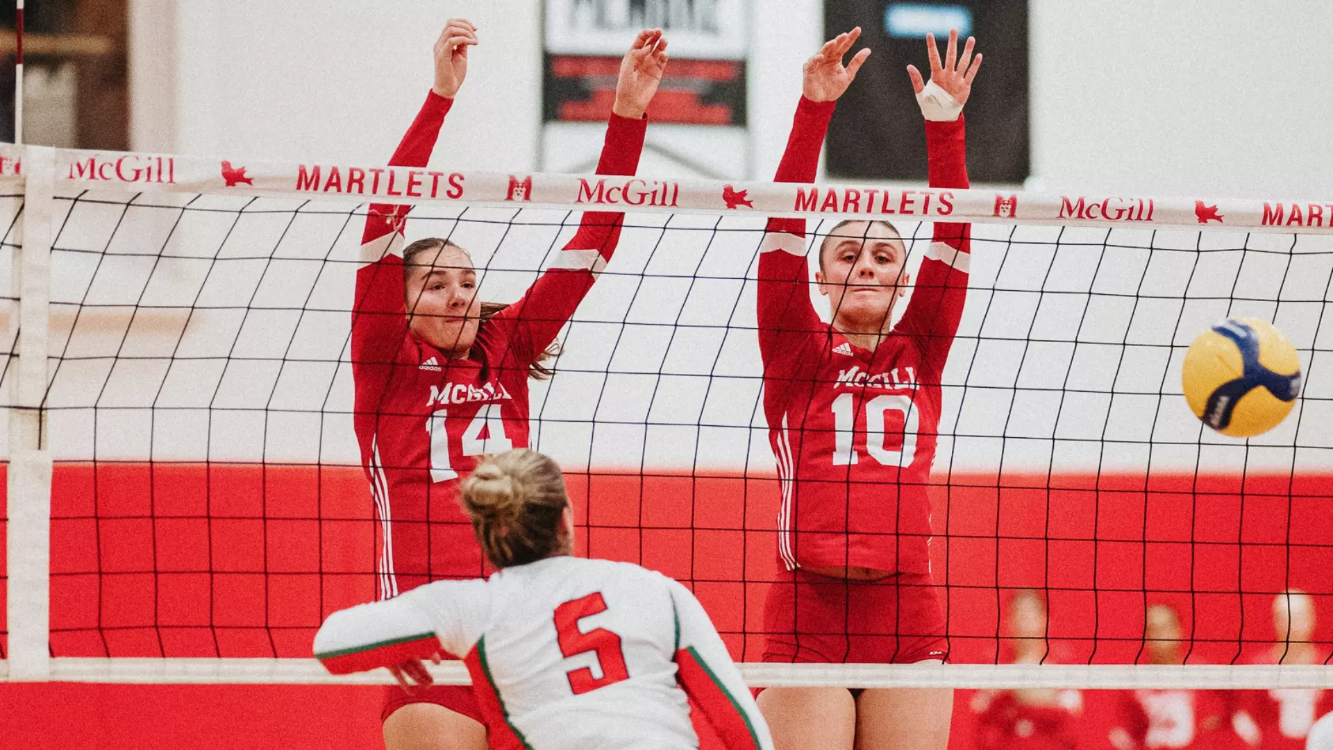 Ubeda and Guidara lead volleyball Martlets past UQTR as
Lapointe era begins with a sweep