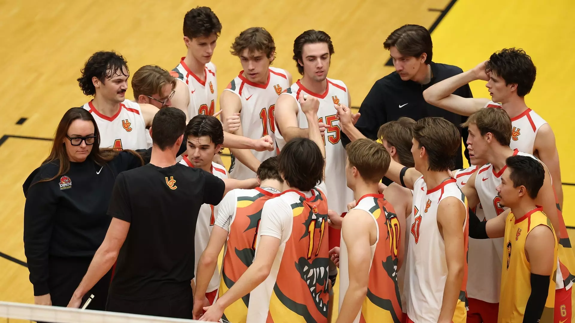 Dinos look to take the next step as new season starts
Friday