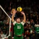 Golden Bears Earn Straight Sets Victory to Sweep Huskies in
Opening Weekend Series