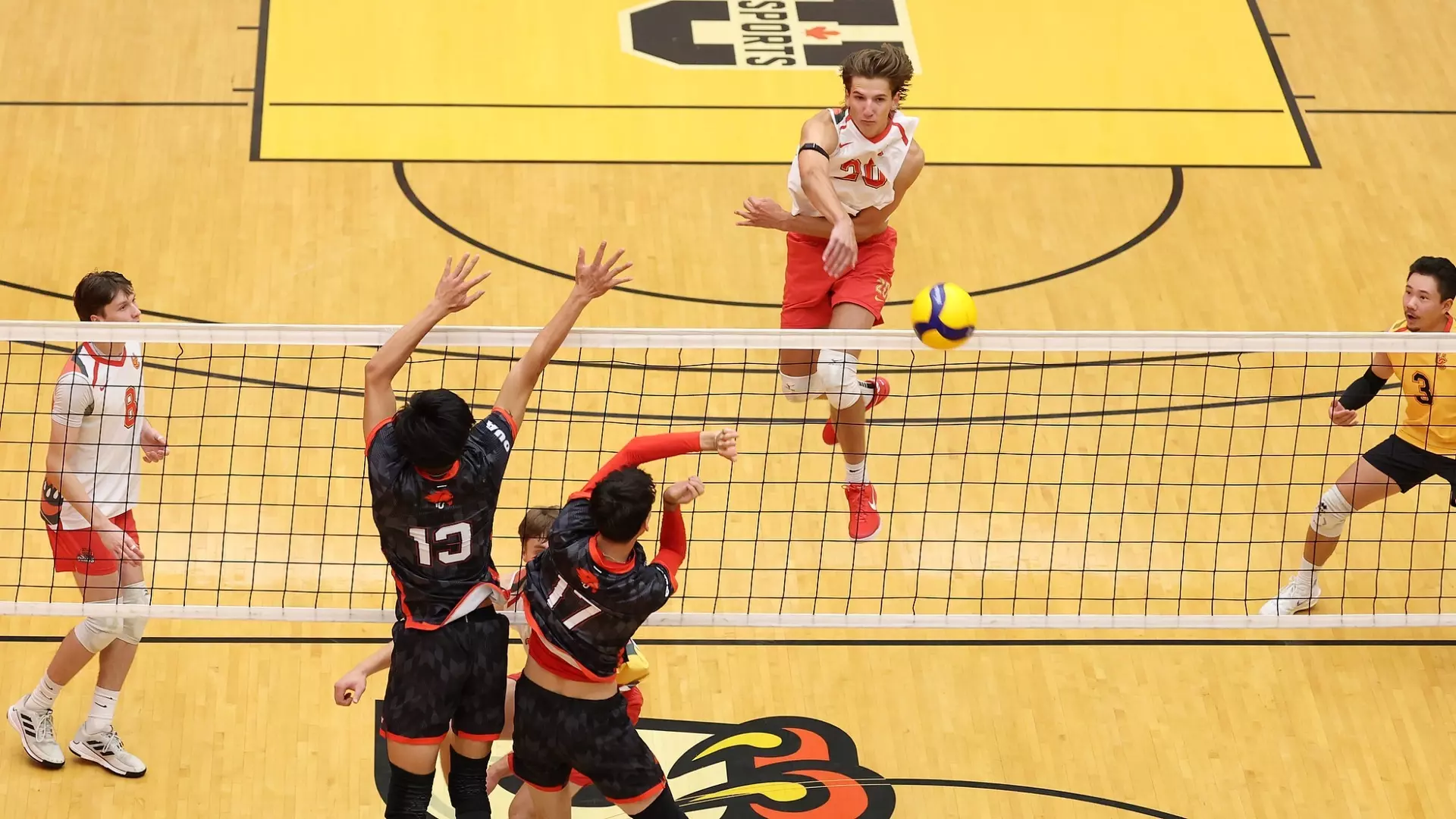 Dinos sweep MacEwan with three-set thriller