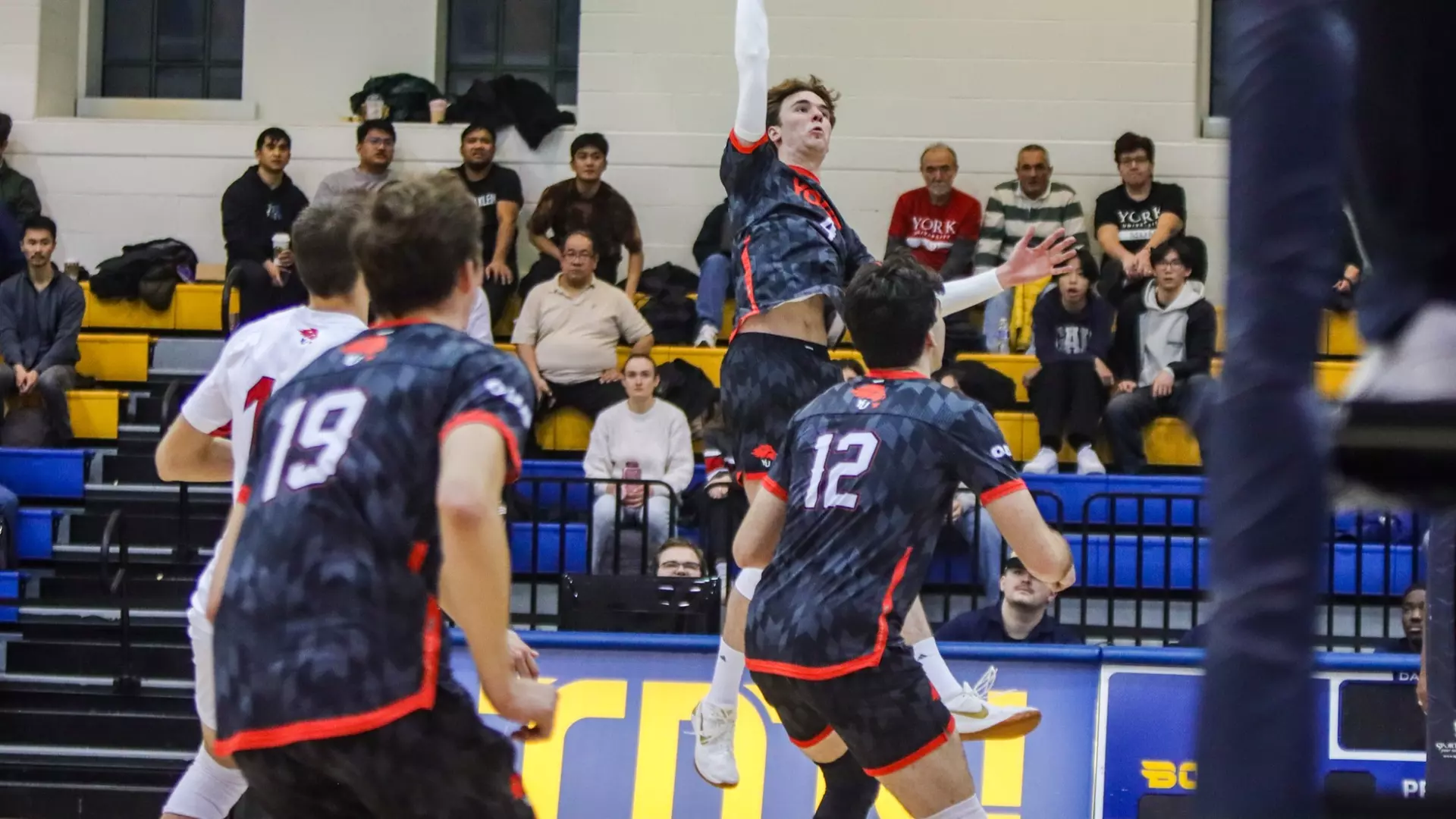 2025-26 LIONS MEN’S VOLLEYBALL SEASON PREVIEW
