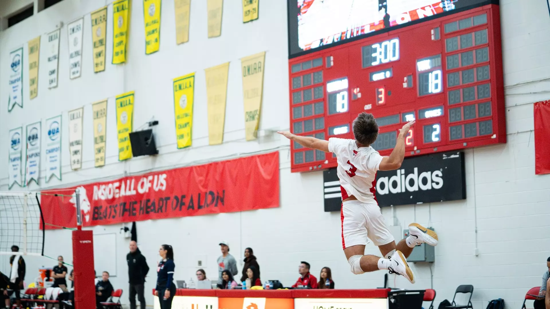 LIONS SWEEP BOLD IN STELLAR SEASON-OPENING MATCH