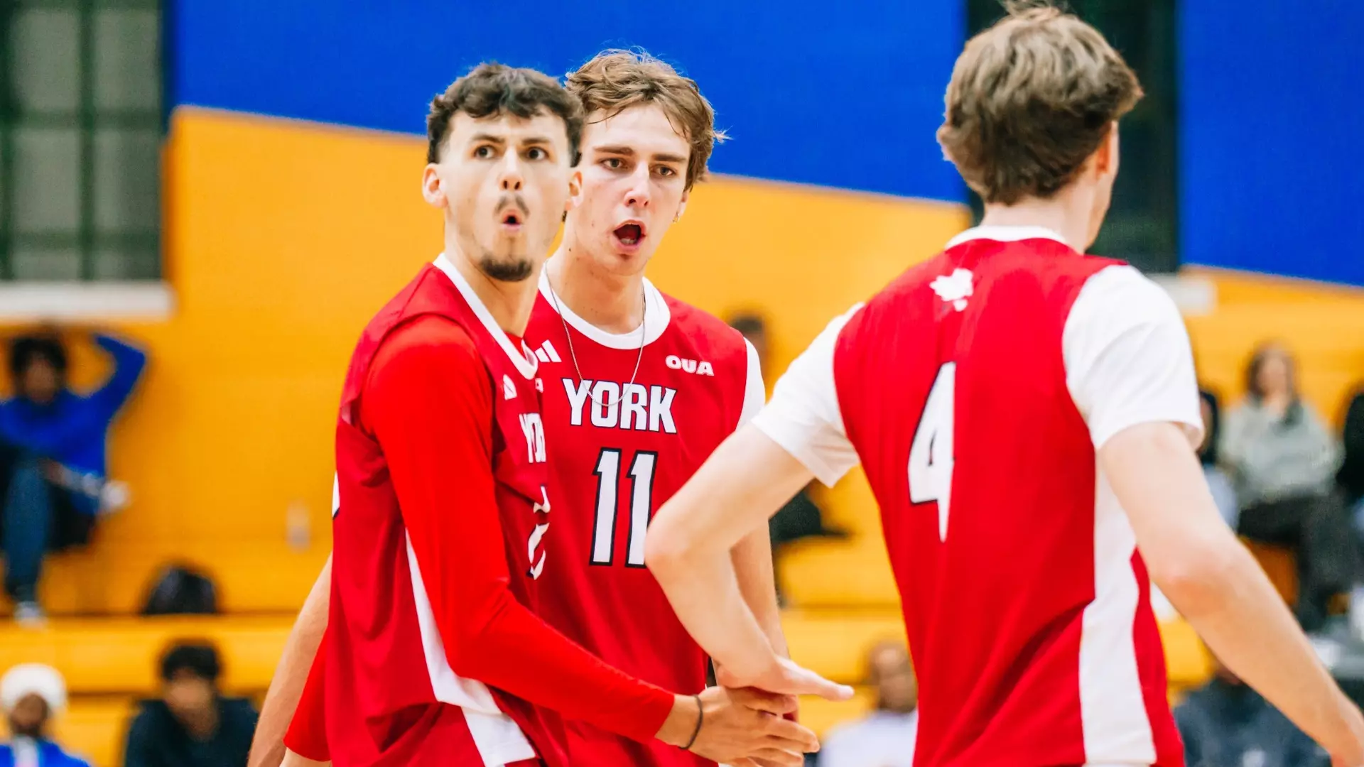 LIONS EARN COME-FROM-BEHIND FIVE-SET WIN OVER BOLD TO SWEEP
OPENING WEEKEND
