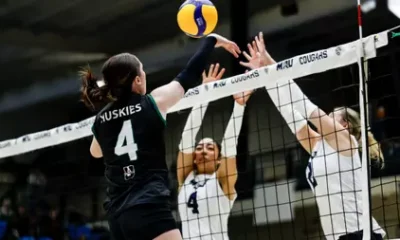 WVB: Cougars take the loss in Home Opener