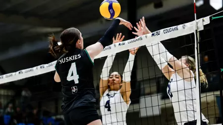 WVB: Cougars take the loss in Home Opener