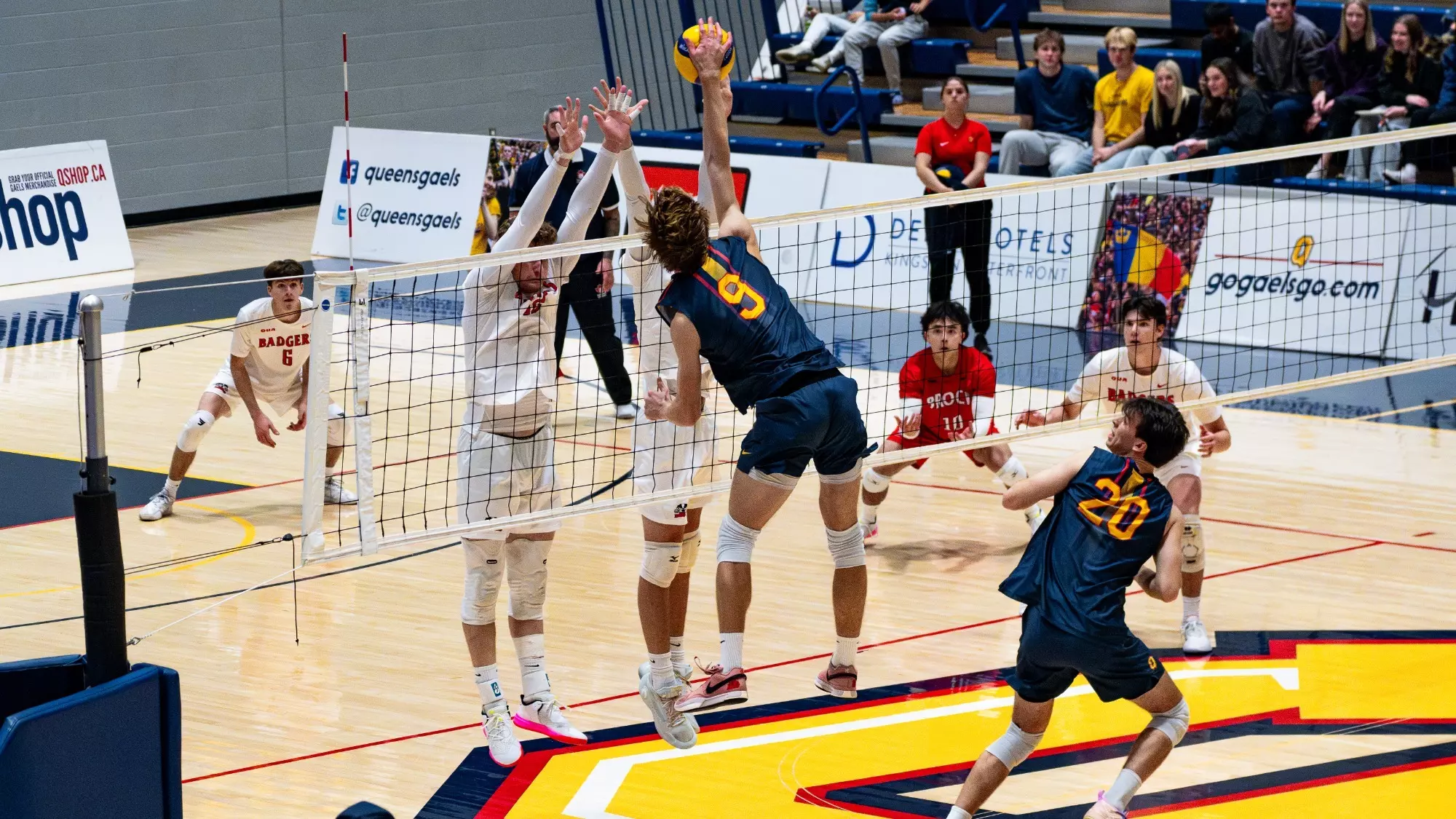 GAELS PICK UP SECOND WIN AGAINST BADGERS IN SWIFT THREE SET
GAME