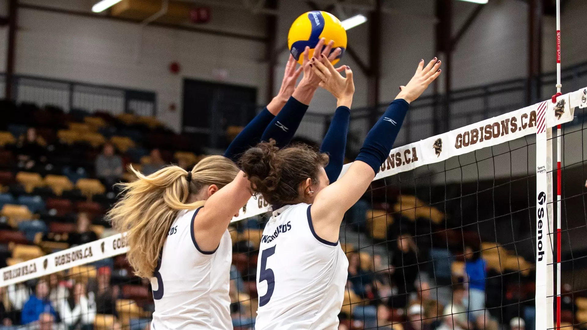 Thunderbirds drop dramatic five-set battle to Bisons