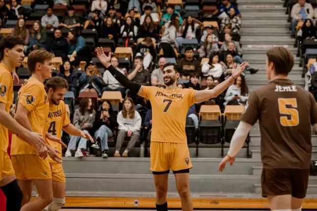 Bisons host a block party at home in 3-0 win over
Calgary
