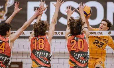 Dinos fall in straight sets to Bisons