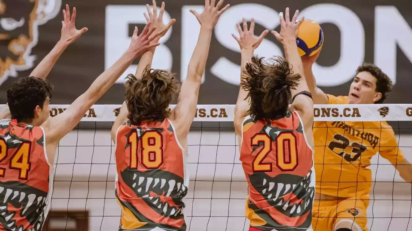 Dinos fall in straight sets to Bisons