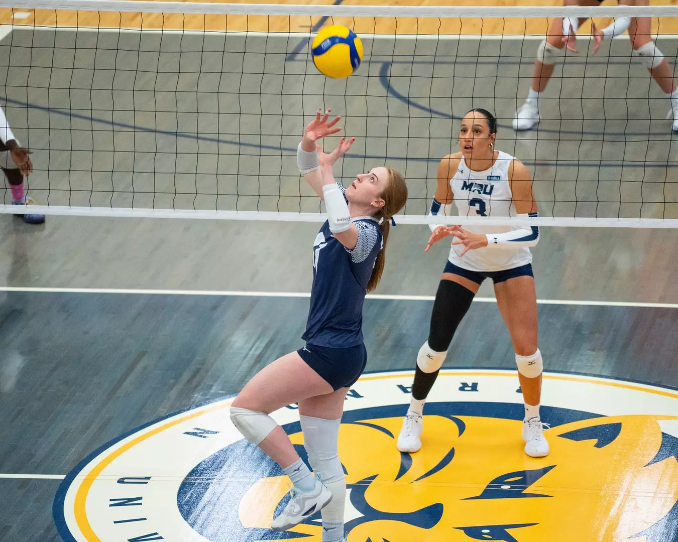 Bobcats and Cougars Split Weekend Series