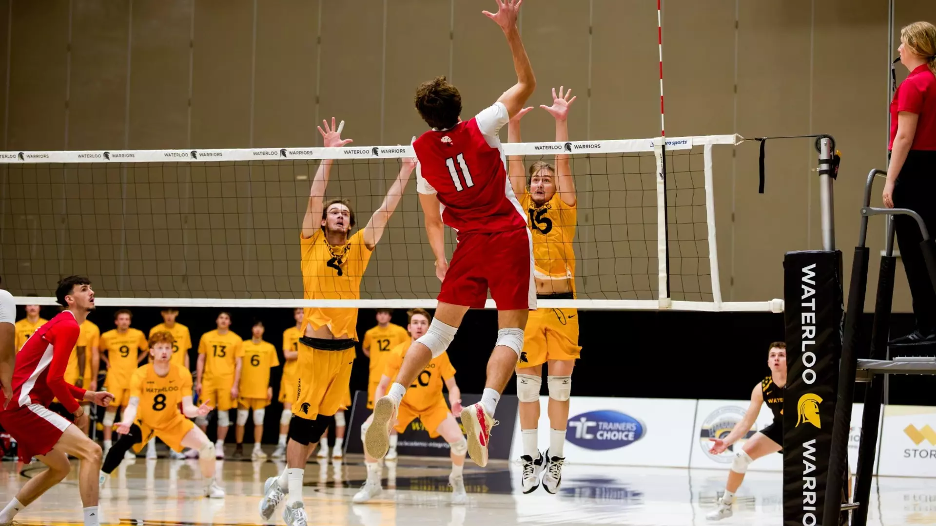 LIONS TO HOST VARSITY BLUES FOR HOME OPENER