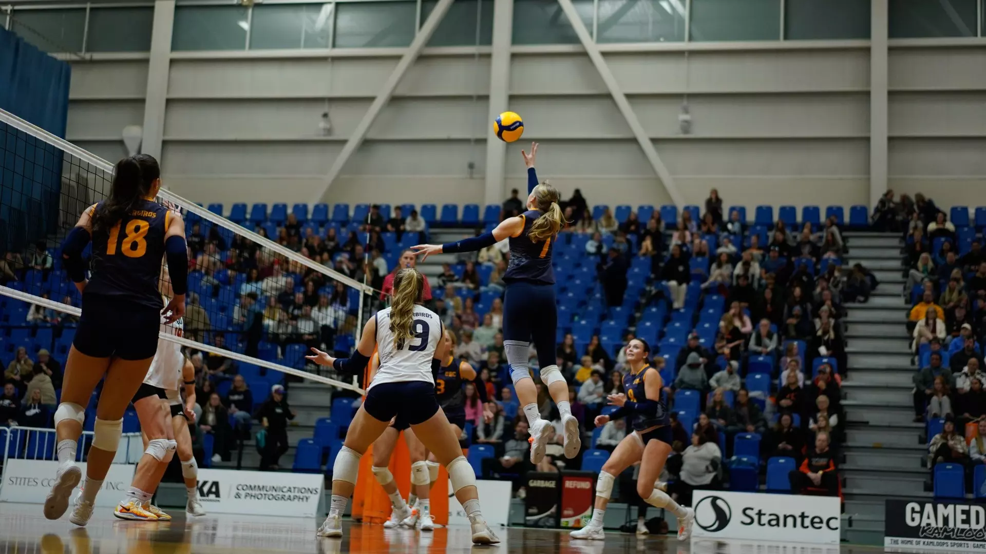 T-Birds start hot but fall in the end to WolfPack