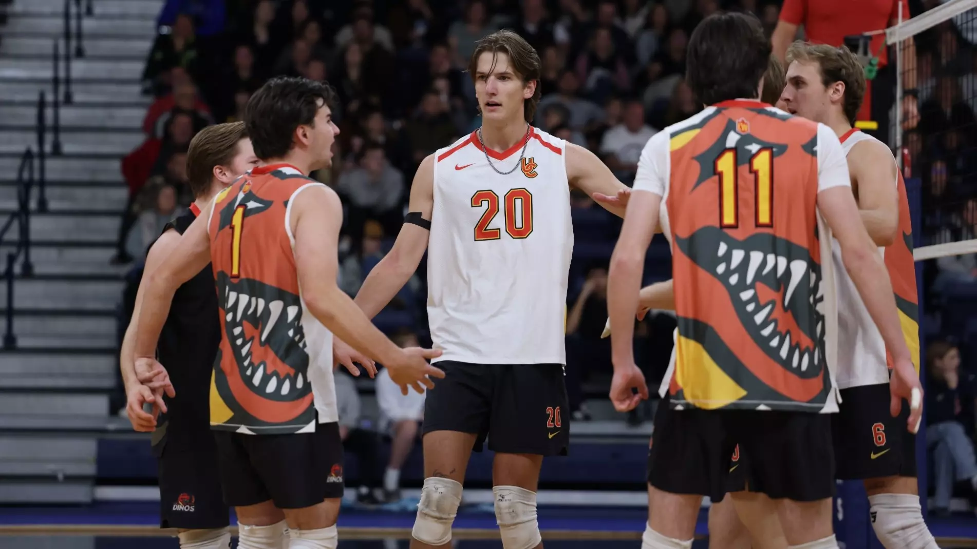Dinos downed in straight sets by Spartans