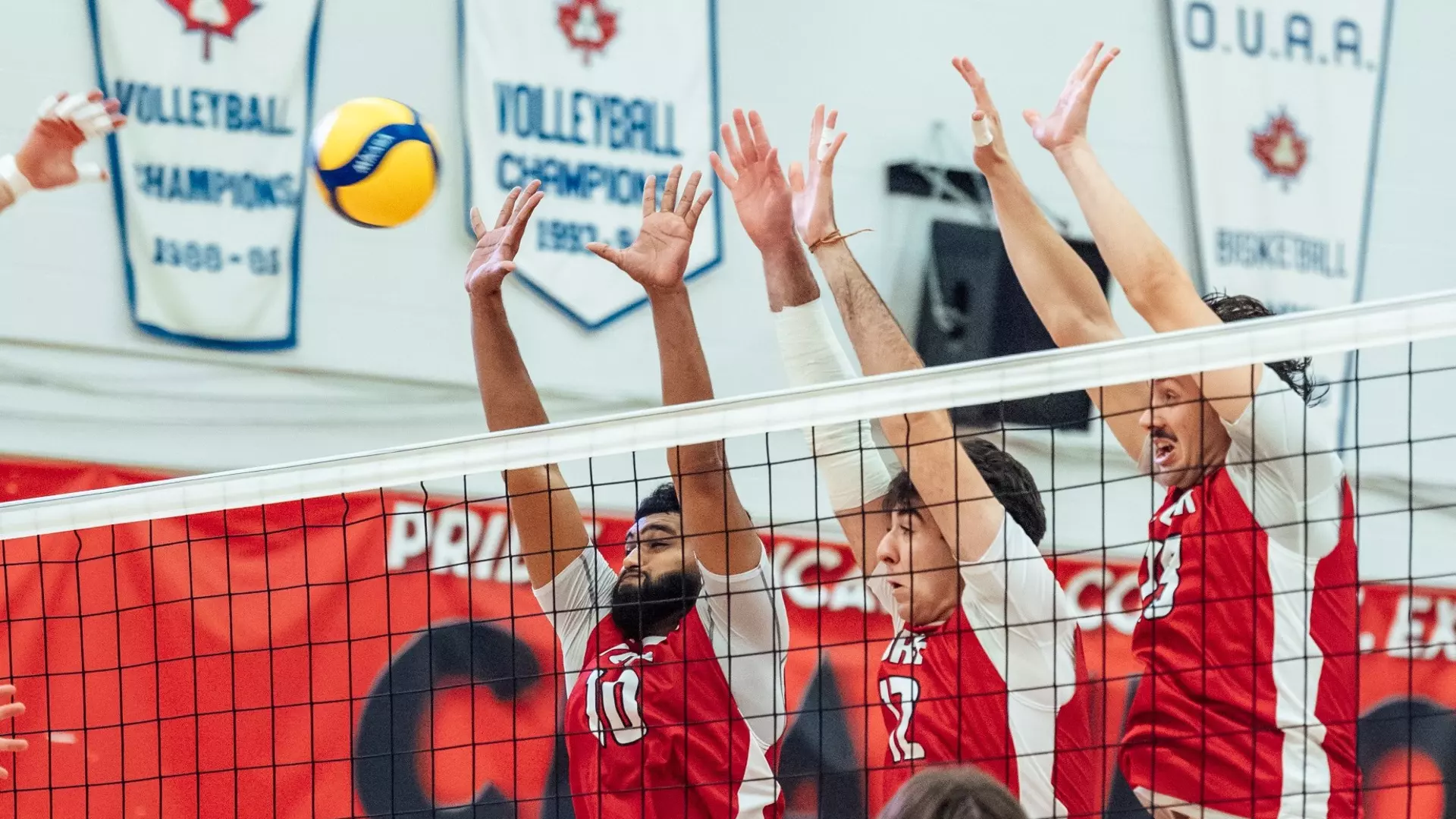 LIONS FALL TO VARSITY BLUES IN FOUR SET GRIND