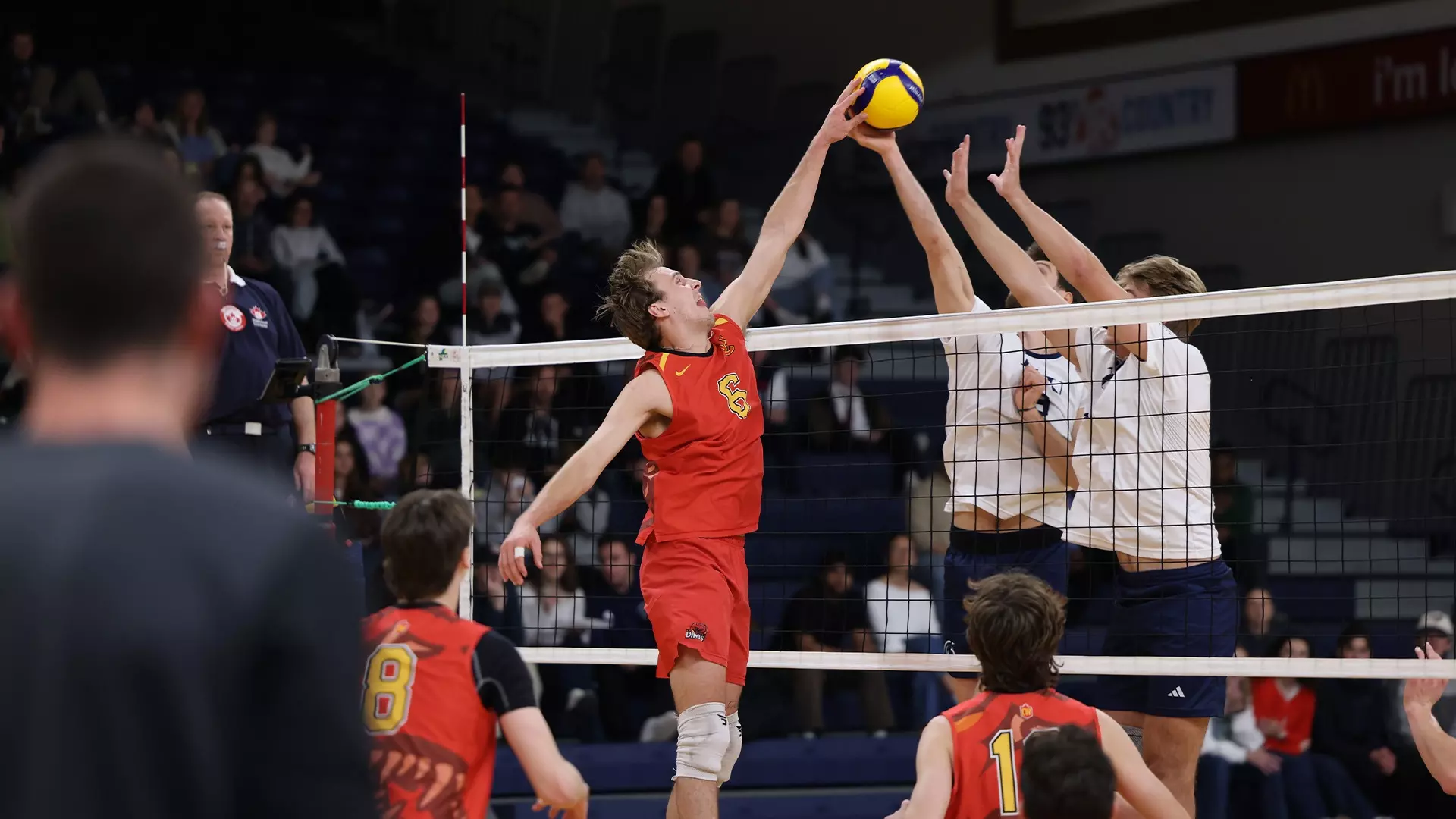 Spartans outlast Dinos in four