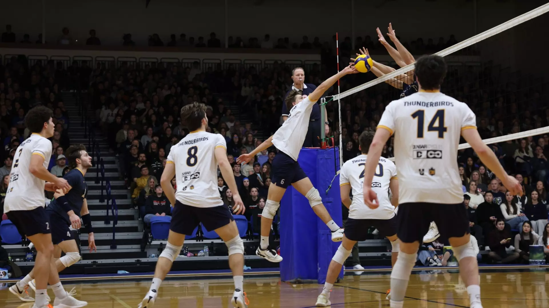 T-Birds fall in five-set heavyweight clash