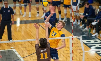 Bisons Sweep Volleyball Weekend in Brandon