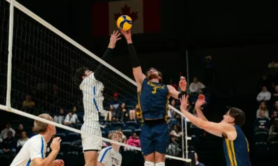 Lancers power past Bold in weekend series