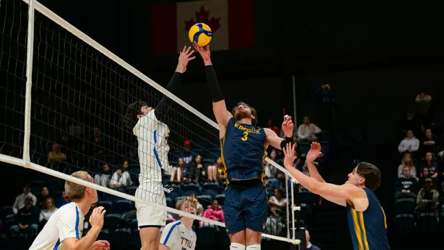 Lancers power past Bold in weekend series