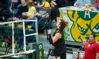 Bears hit peak Shand-nenigans in impressive 3-0 sweep of
Cougars