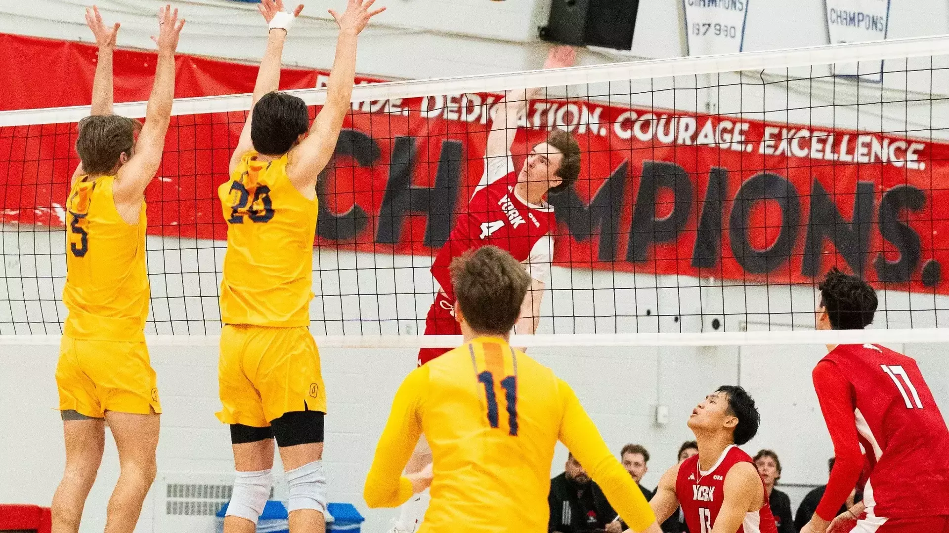 LIONS TAKE FRENETIC FIVE-SET FRIDAY NIGHT THRILLER OVER
GAELS