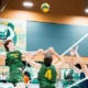 Bears serve their way to weekend sweep over Cougars with 3-1
victory
