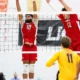 LIONS FORCE FIFTH SET BUT GAELS SECURE WIN