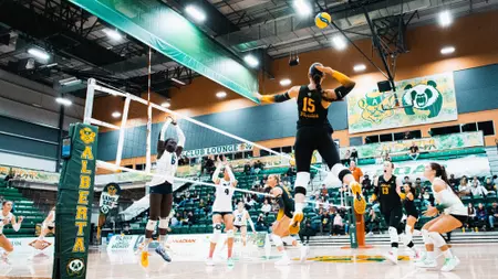 Strong depth powers Pandas to weekend sweep of Cougars in
3-0 victory