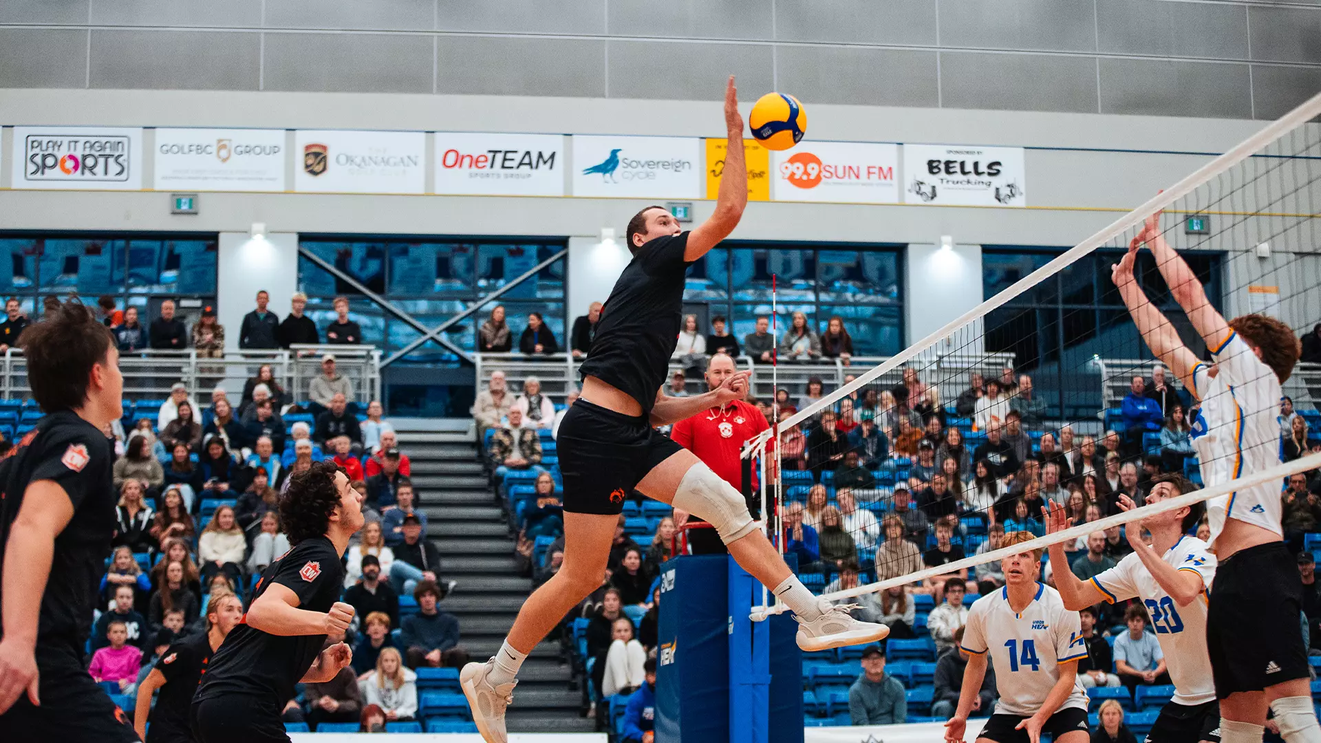 PREVIEW: Final home games of 2025 see WolfPack hosting
Bisons