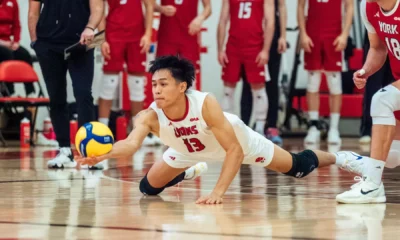LIONS TRAVEL TO KINGSTON TO TAKE ON PALADINS