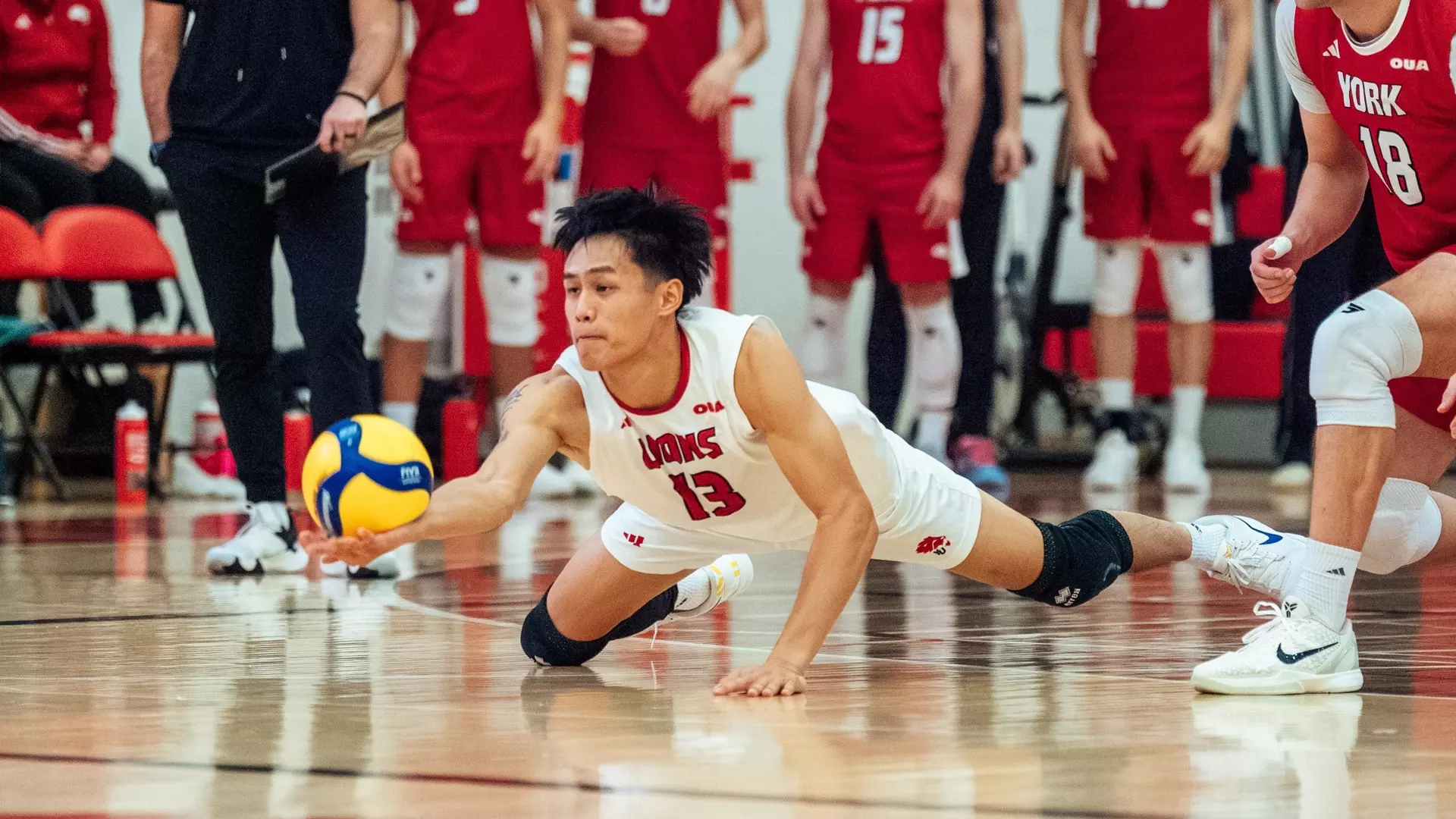 LIONS TRAVEL TO KINGSTON TO TAKE ON PALADINS