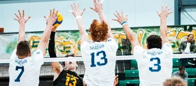 SPARTANS FALL IN FOUR TO ALBERTA GOLDEN BEARS