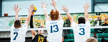 SPARTANS FALL IN FOUR TO ALBERTA GOLDEN BEARS