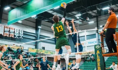 Spartans outlast Golden Bears in five to split weekend
series