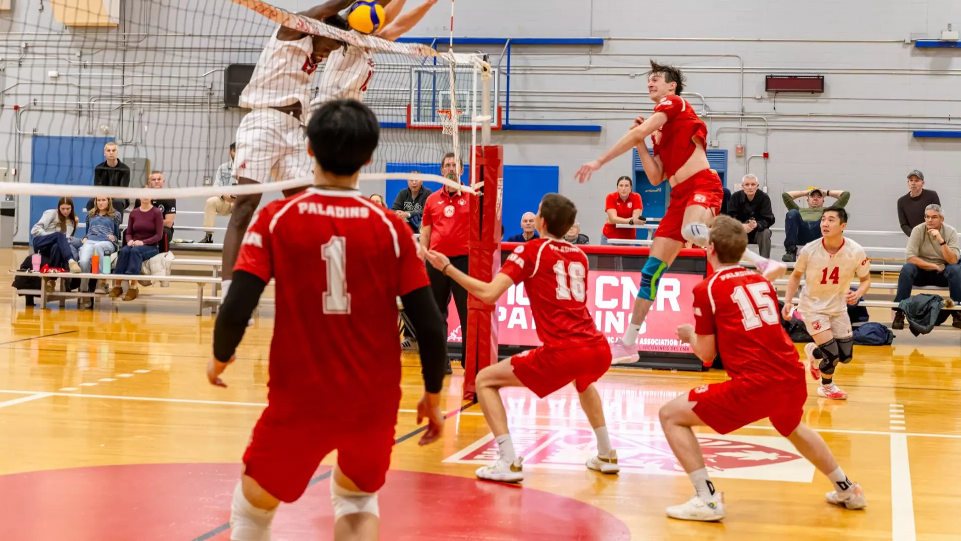 LIONS POWER PAST PALADINS IN 2025 FINALE