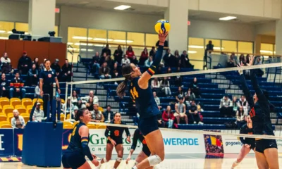 GAELS DEFEAT IN GRYPHONS 3-1 ON HOME COURT
