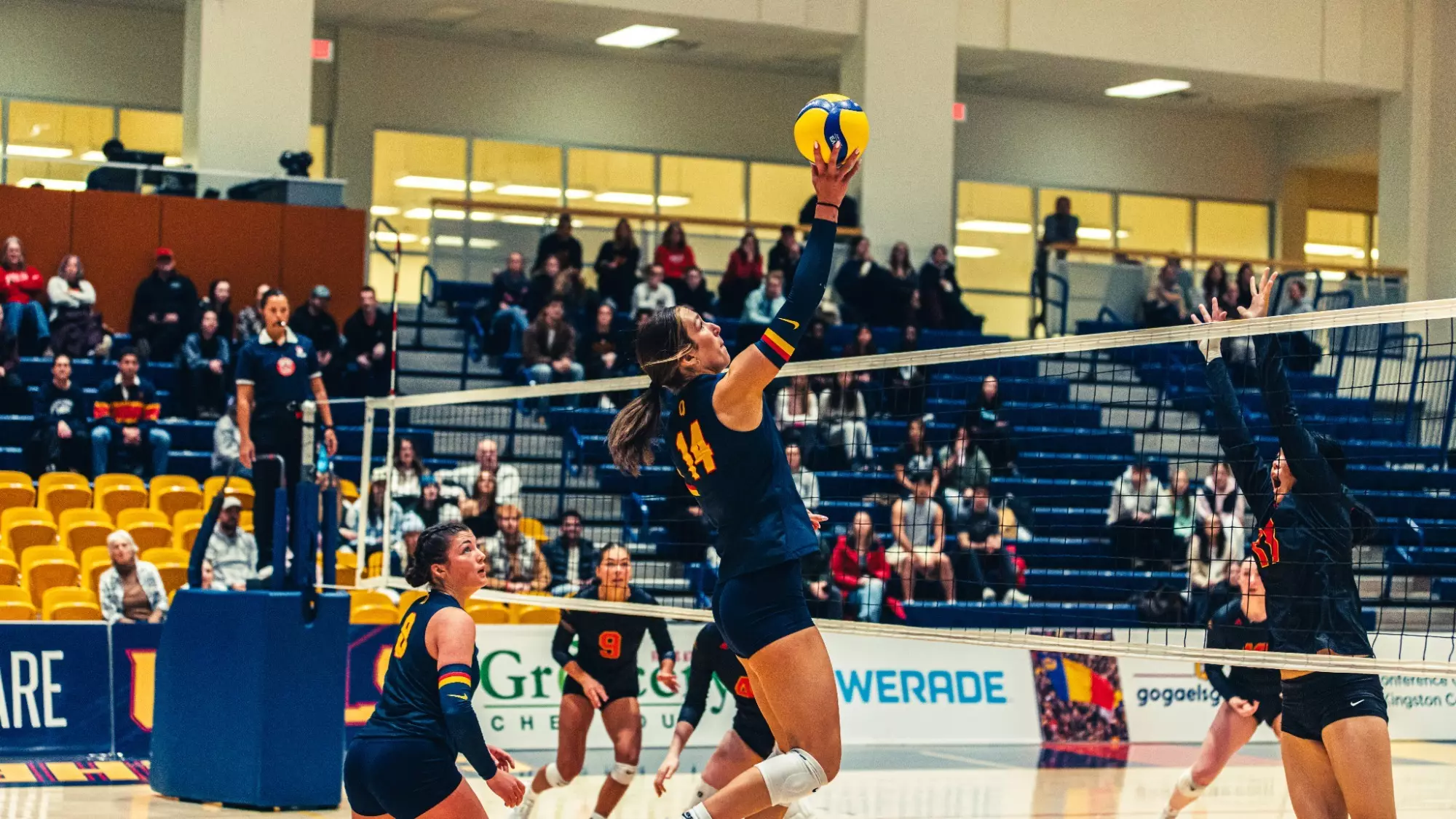GAELS DEFEAT IN GRYPHONS 3-1 ON HOME COURT