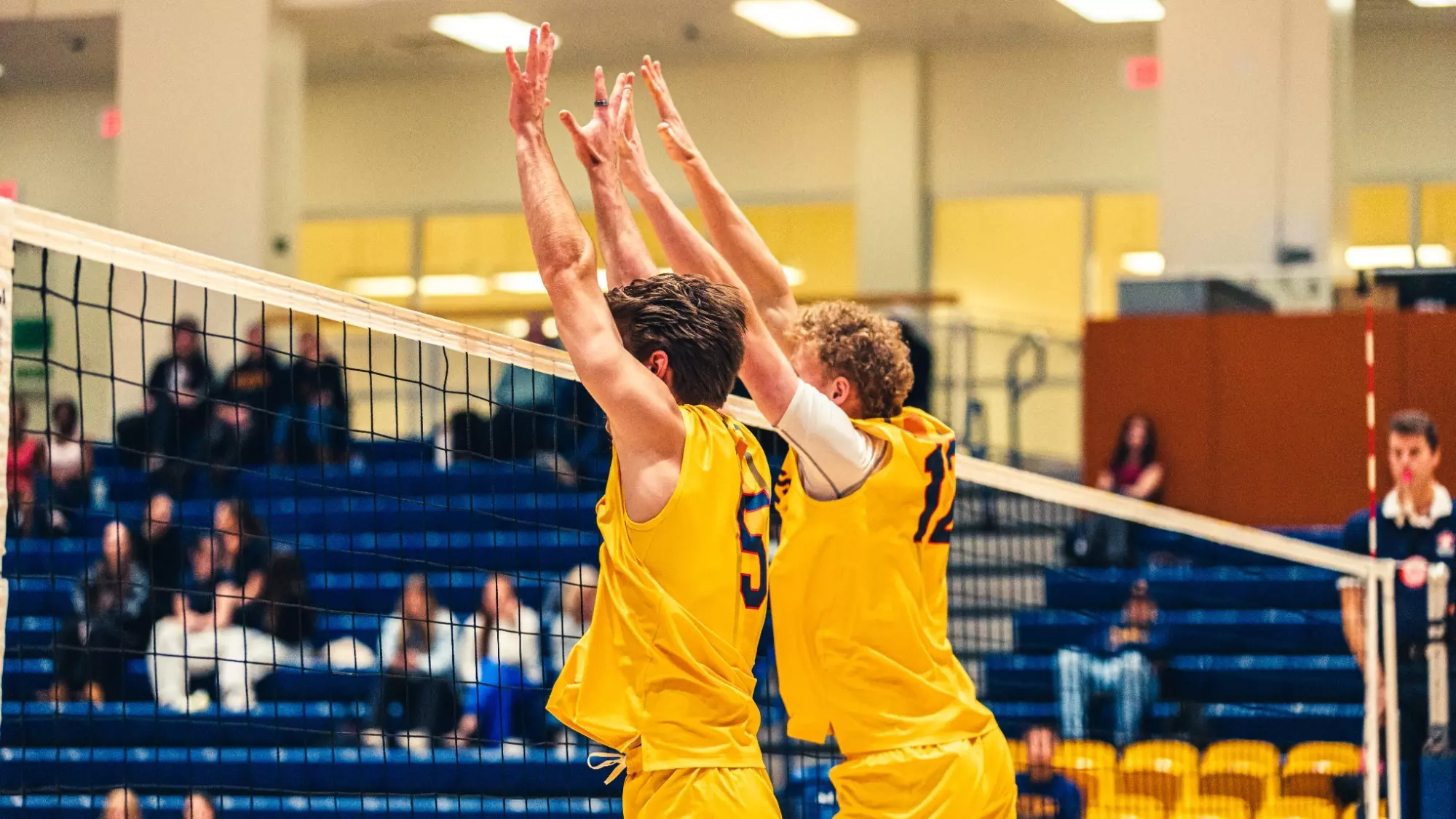 GAELS FALL IN TOUGH MATCH AGAINST GRYPHONS AT HOME