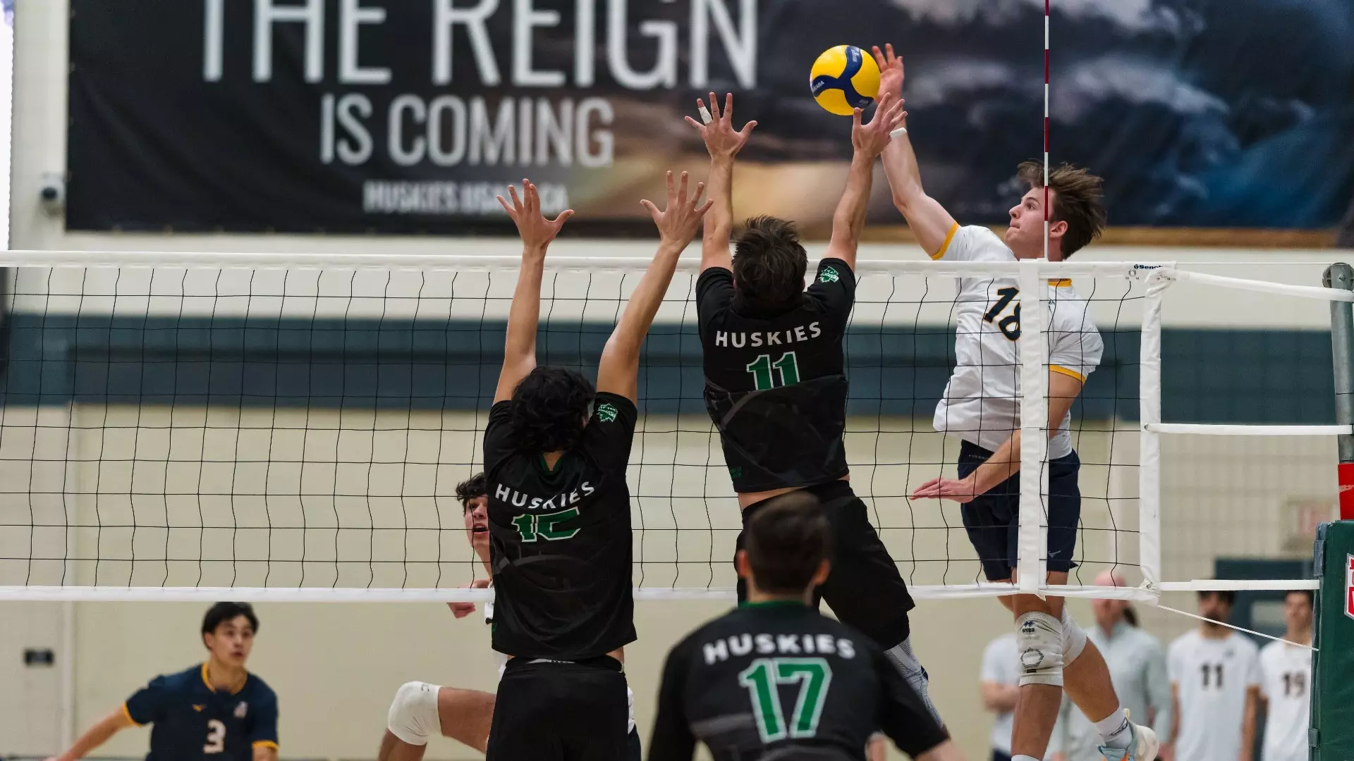 T-Birds tame Huskies for fifth straight win