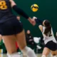 T-Birds edged by Huskies in five sets to split weekend road
series