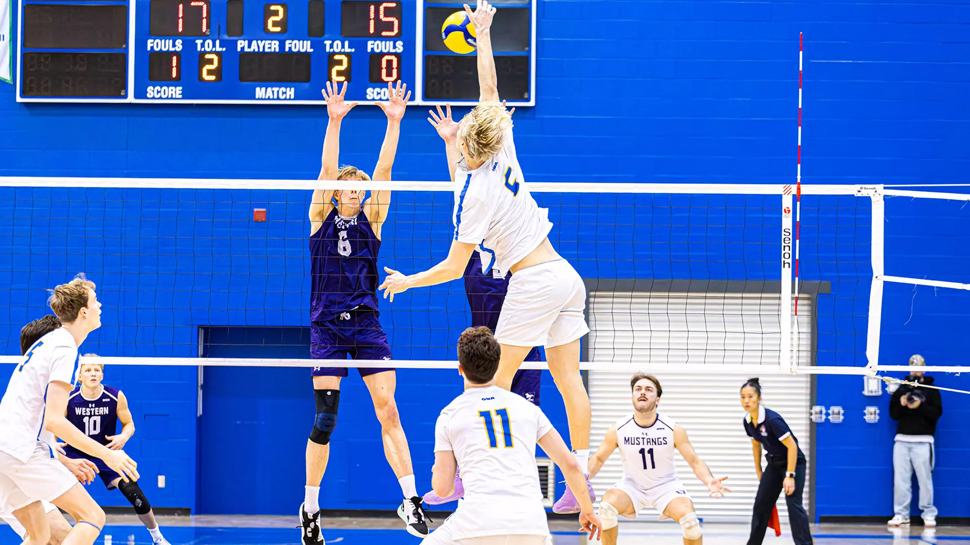 Bold Start Fast But Can’t Get Past Mustangs