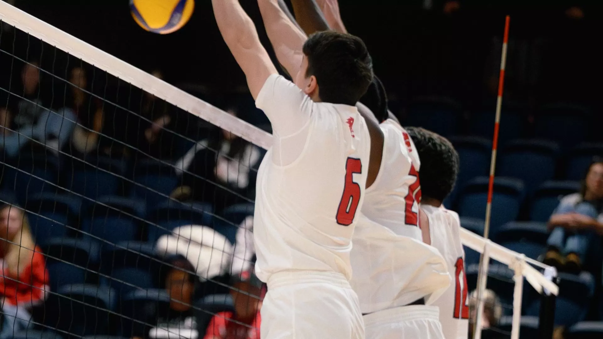 LIONS TO HOST BACK-TO-BACK GAMES AT HOME AGAINST
EXCALIBUR