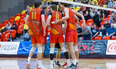Dinos sweep Bears at Block Party