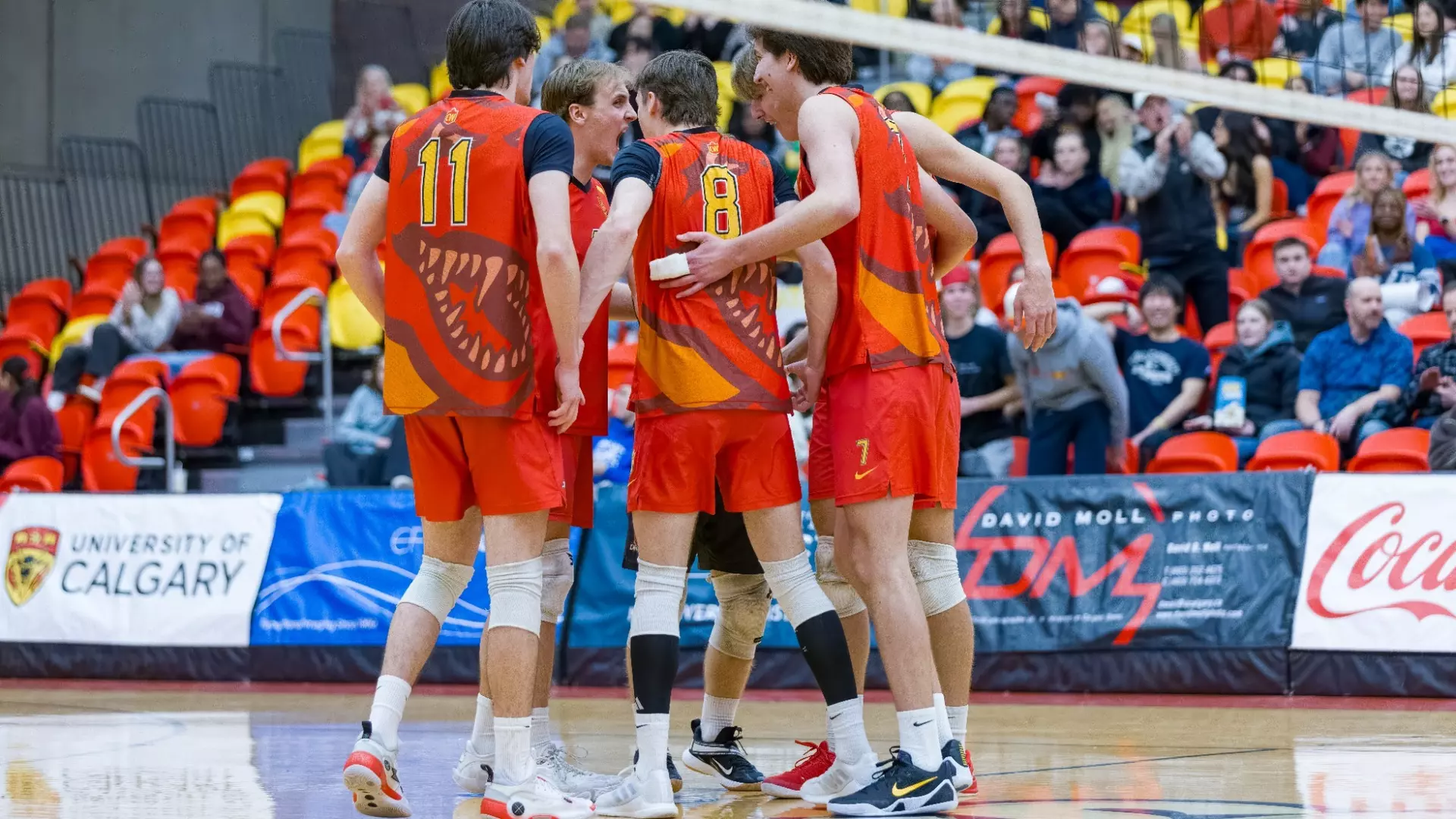 Dinos sweep Bears at Block Party