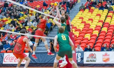 Dinos sweep Bears at Block Party