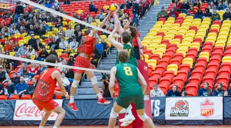 Dinos sweep Bears at Block Party