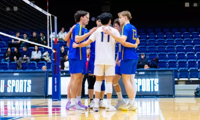 Bold Fall to Varsity Blues